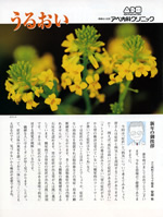 第45号　ご挨拶 （2011年・冬）　